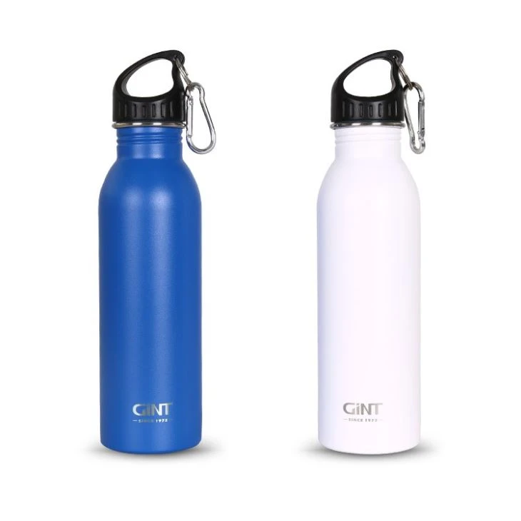 Travel Vacuum Water Bottle With Straw