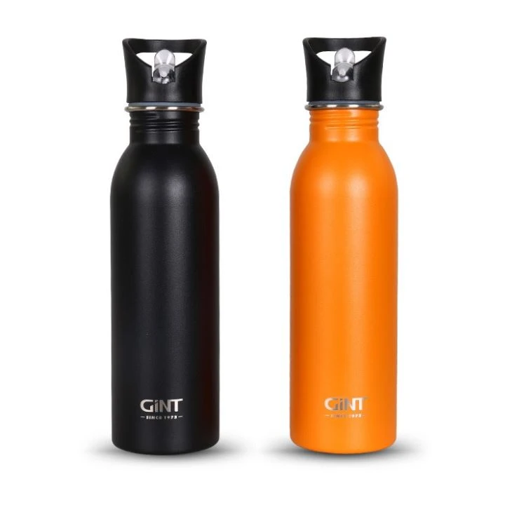 Travel Vacuum Water Bottle With Straw